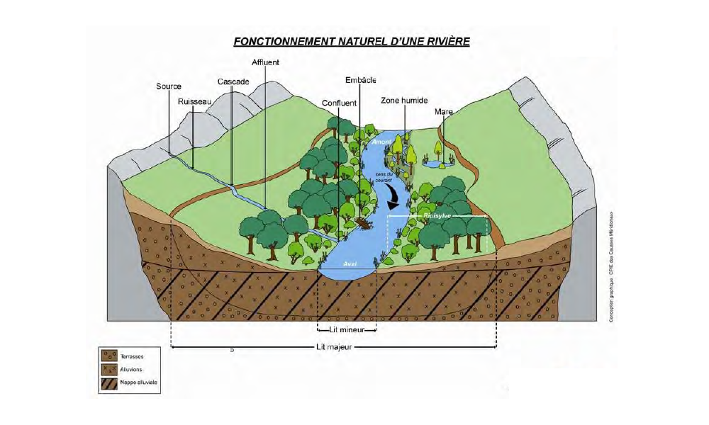 Méandre D Un Cours D Eau Fonctionnement d'un cours d'eau - Bassin versant du Gapeau