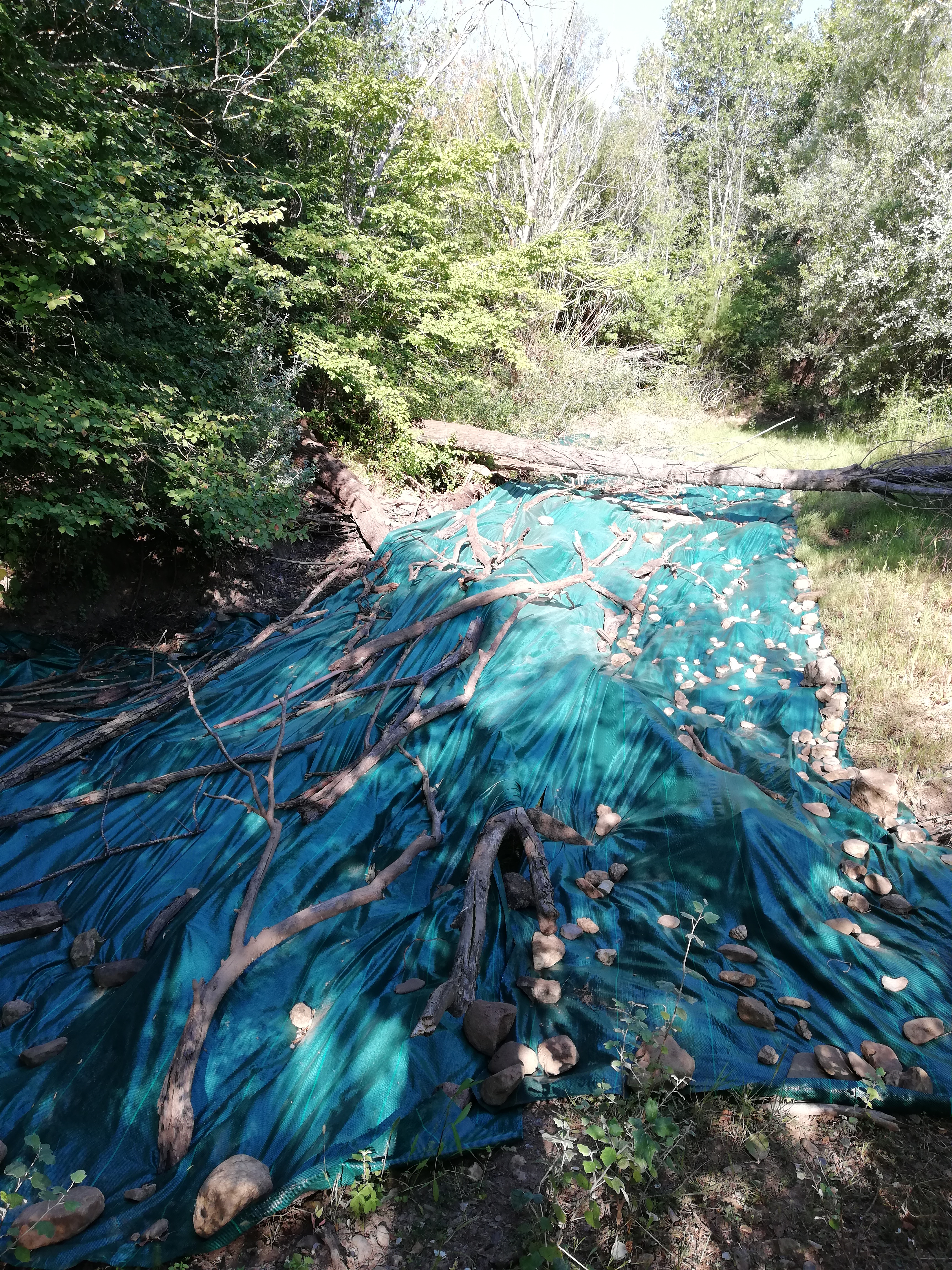 Bâchage des étangs en assec avec un géotextile